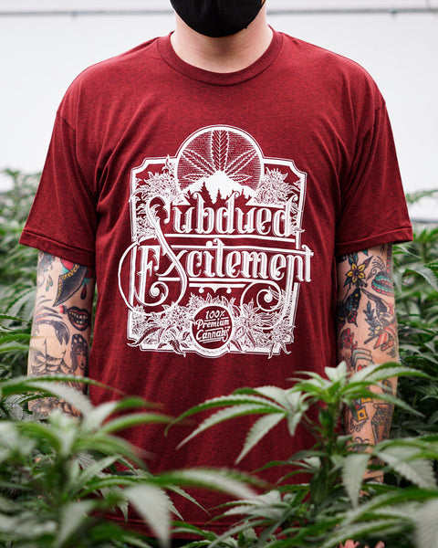 SUBX "100%" T-shirt - Cranberry